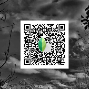 Snapseed Black Qr Code