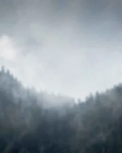 New Year 2025 Background