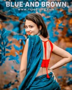 Blue And Brown Lightroom Presets