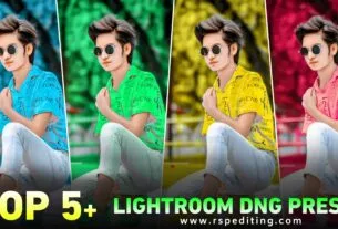 Top 5 Lightroom Presets 2025 | Lightroom Presets
