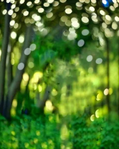 Background photo editing