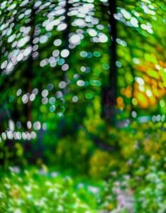 Bokeh effect background