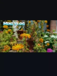 Mini vlog capcut template