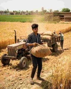 Gemini gehu ai photo prompt