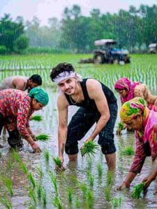 Paddy Farming Ai Photo Prompt